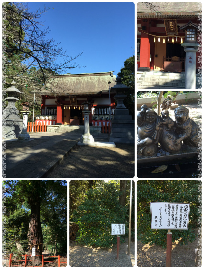 ブログ　いきす２